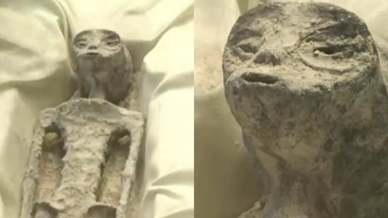 NASA cuestiona veracidad de 