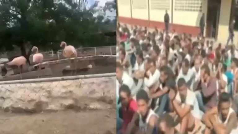 Mega operativo evidenció inéditas instalaciones en cárcel 