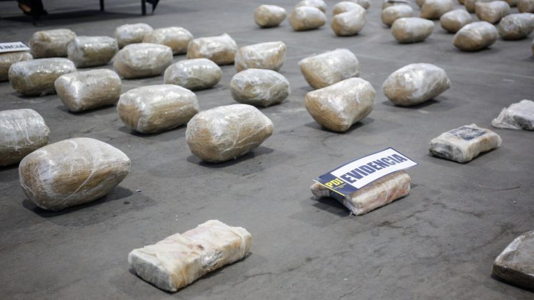 Operación Luna Nueva: El exitoso operativo de la PDI que desarticuló banda narco de la RM