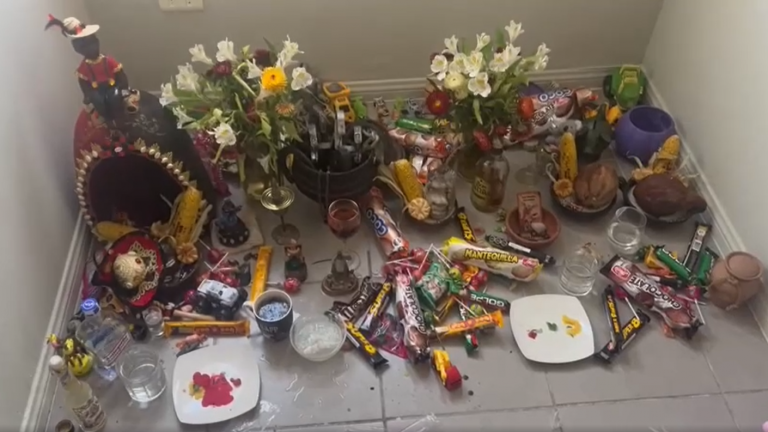 PDI desarticuló a banda del 