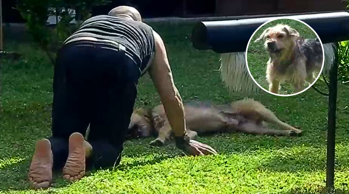 Francisco se hizo pasar por un perro y hasta ladró para jugar con Bigote en Gran Hermano