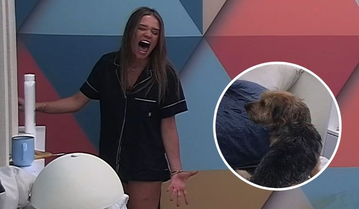 Alessia lanzó el grito de su vida en la madrugada y despertó hasta a Bigote: 