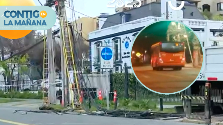 Loca carrera de conductor de bus que manejó bajo los efectos de las drogas