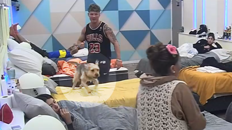 ¡Ternura máxima! Bigote lloró y fue a la cama de Coni cuando la jugadora fue a hacer la prueba de líder