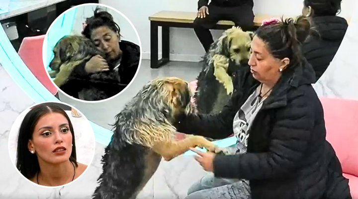 ¿Hijo ilustre de Chiloé? Pincoya confesó que quiso adoptar a Bigotes antes que Coni Capelli