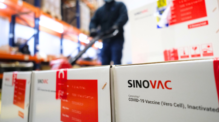 Gobierno indicó que Sinovac no se instalará en Antofagasta: Laboratorio habría optado por Colombia