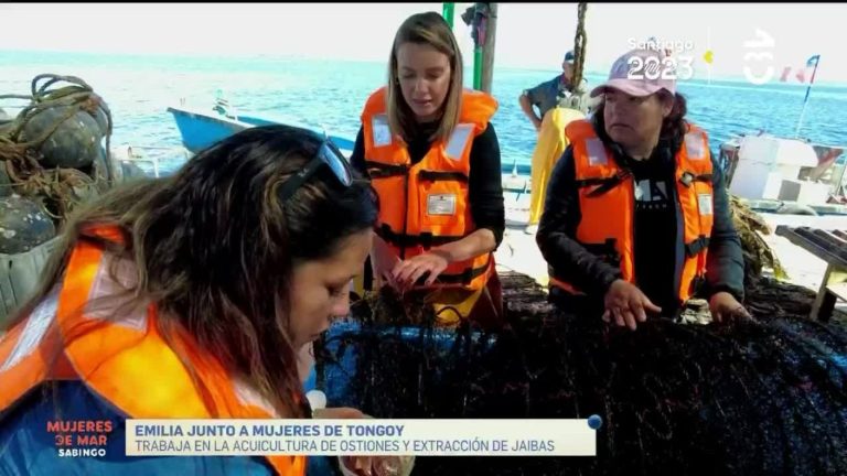 Mujeres De Mar: Emilia Daiber conoció a Roxana y fue acuicultora en la Caleta de Tongoy