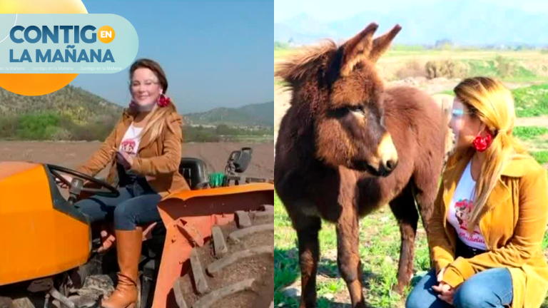 ¡Escándalo! Granja municipal de Cathy Barriga enfrenta crisis por reproducción descontrolada de animales