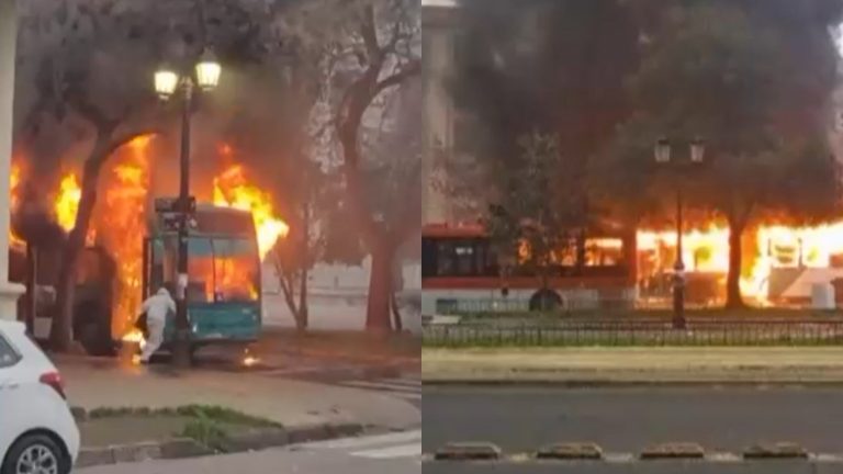¿Quiénes son y cómo operan los overoles blancos? Radiografía a la quema de buses en Alameda