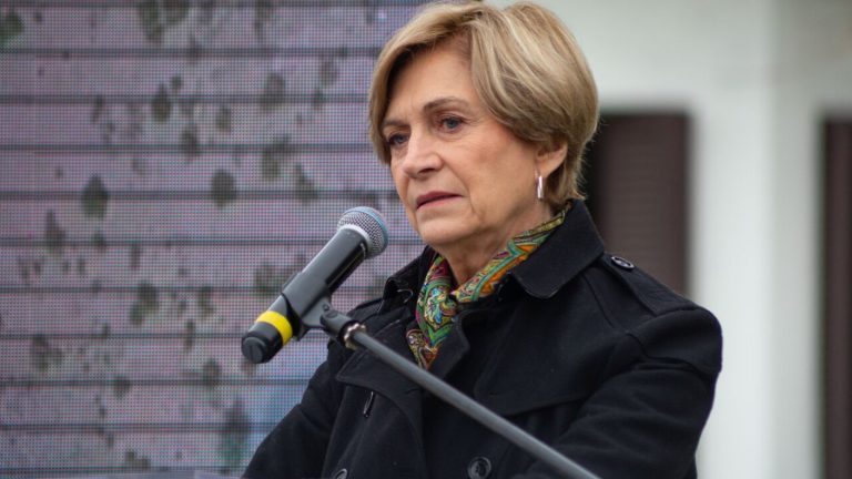 Matthei anunció que votará 