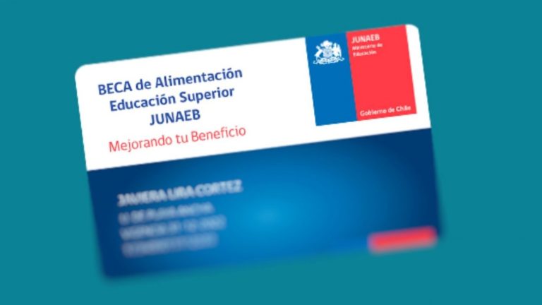 Anuncian extensión de la Beca Junaeb para el verano: Revisa quiénes y cómo podrán tenerla
