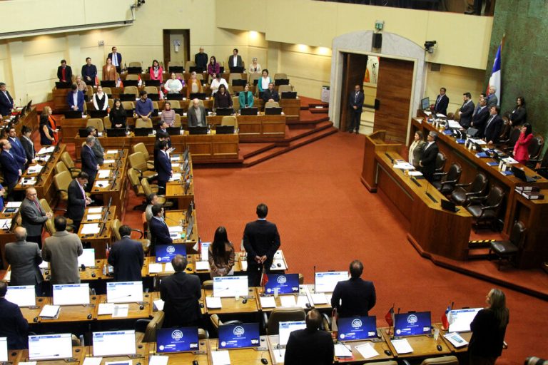 Cámara aprueba veto presidencial a Ley de Usurpaciones: Oposición presentará un nuevo proyecto