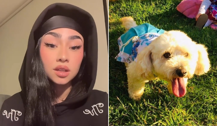 Paloma Mami rompe el silencio tras 