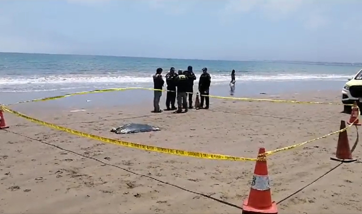 Nuevo hallazgo: Encuentran un pie en playa Peñuelas de Coquimbo
