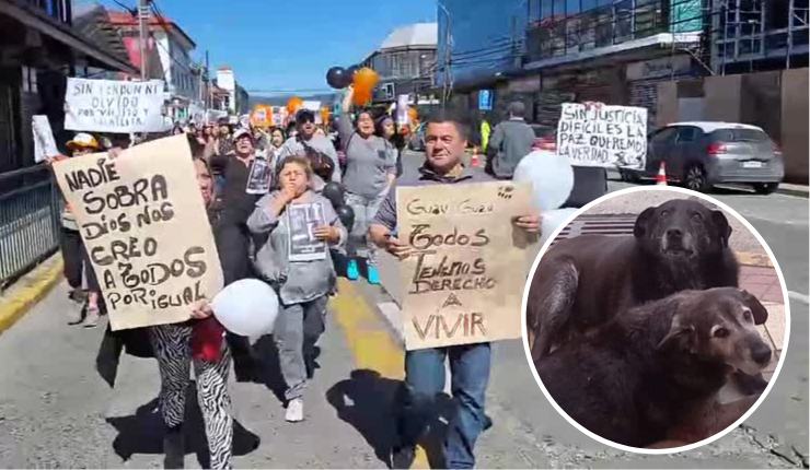 Realizan marcha para exigir justicia por perros comunitarios muertos en Valdivia