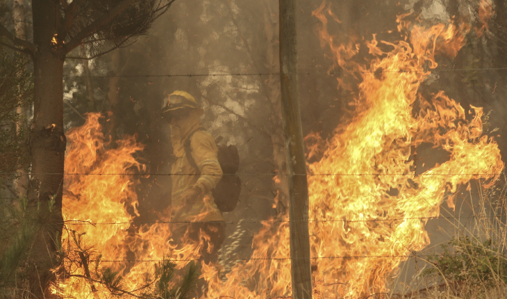 Declaran alerta roja en Machalí por incendio forestal en Reserva Nacional Río Cipreses