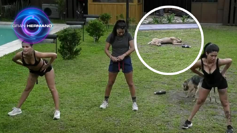 Bigote se unió con sus movimientos a sesión de baile de Coni, Eskarcita y Vivi