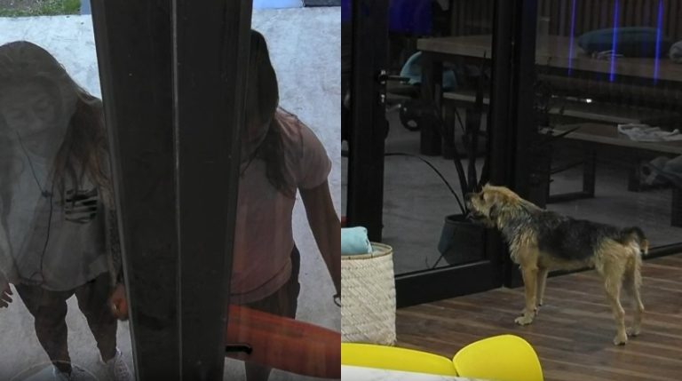 ¿Últimos días nadie se enoja? La travesura de Bigote que le costó un cómico castigo en Gran Hermano