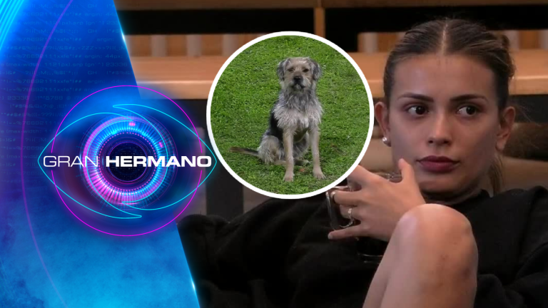 Donará el 30% de las ganancias: Coni planea capitalizar la fama de Bigote