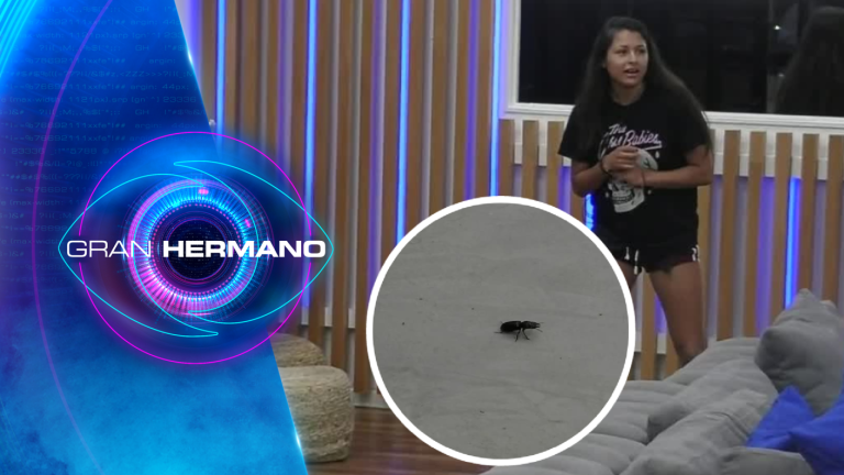 Jorge al rescate: Un bicho provocó el terror de Vivi en Gran Hermano