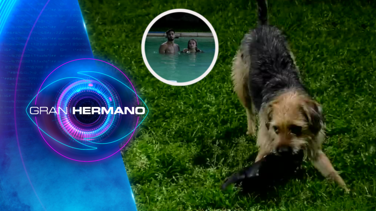 Bigote sorprendió a Jorge con una nueva travesura en Gran Hermano