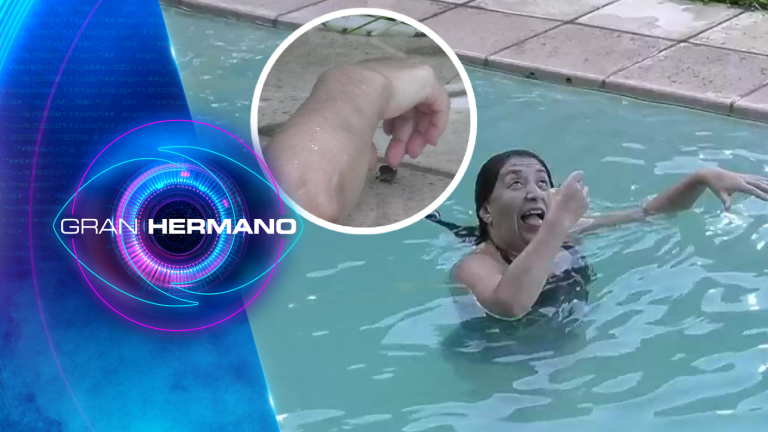 Pincoya se puso traviesa y repartió sustos con un bicho en la piscina de Gran Hermano