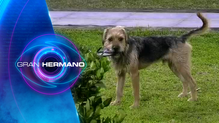 “Última advertencia”: Gran Hermano le llamó la atención a Bigote por su travesura