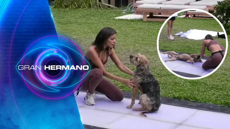 ¡Muy habilidosos! Coni mostró los trucos que ha aprendido Bigote en Gran Hermano