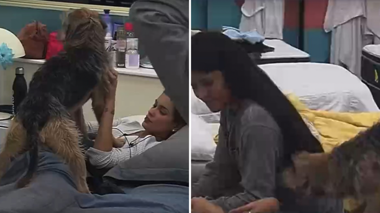 Todo un protector: Así reaccionó Bigote ante 