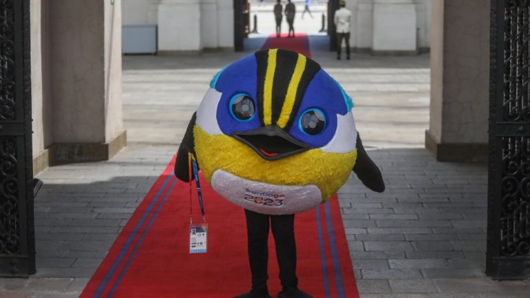 Fiu sorprendió a los chilenos con emotiva carta de despedida: 