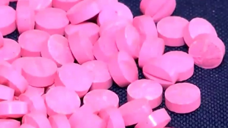 Vivir bajo el flagelo del Tussi: 