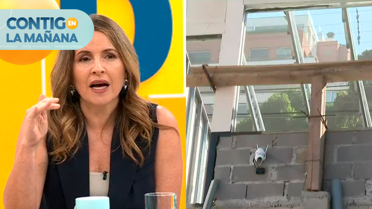 “Patudez con vista al mar”: La indignación de Monse Álvarez por construcción ilegal en Reñaca