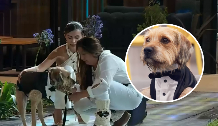 Gran Hermano se despidió de Bigote con sentidas palabras: 