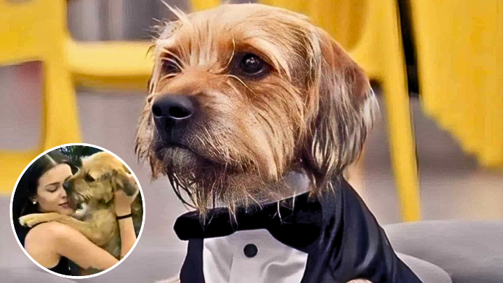 ¿Dónde está Bigote? Tiktoker aseguró verlo en hotel previo a la final de Gran Hermano