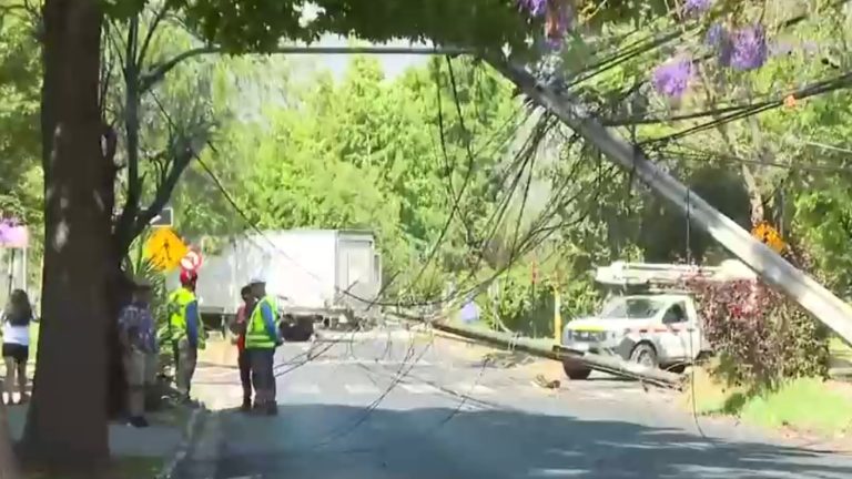 Camión perdió el control y arrasó con 12 postes de tendido eléctrico en La Reina