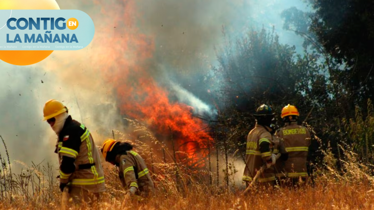 Incendios forestales: ¿Cuál es el origen y a qué nos arriesgamos en este verano?
