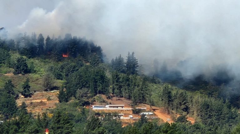 SENAPRED declaró Alerta Roja para Concón y Viña del Mar por incendio forestal
