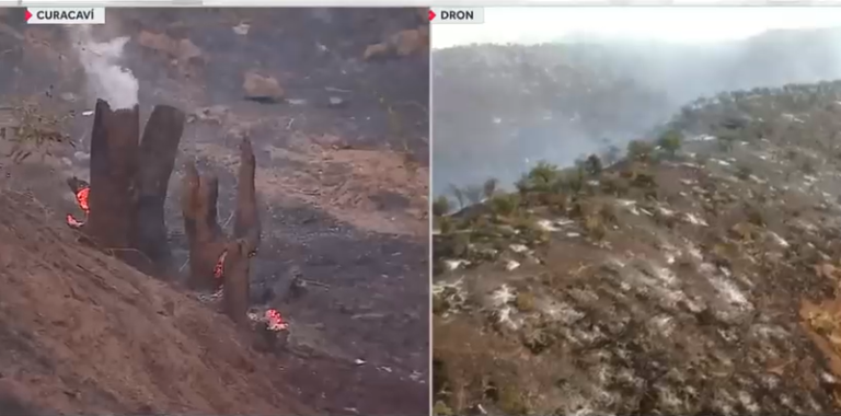 Actualizan Alerta Roja por incendio forestal en Curacaví y Padre Hurtado: Más de 500 hectáreas quemadas