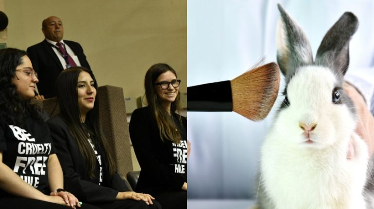 Senado aprobó proyecto que prohíbe experimentación en animales para fines cosméticos
