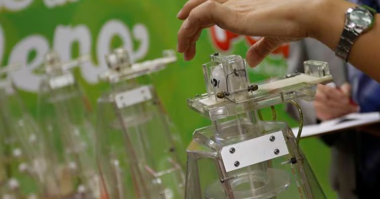 La Suerte en Chile: Revisa con tu RUT si eres uno de los ganadores del tercer sorteo de La Suerte de Ser Chileno 2023