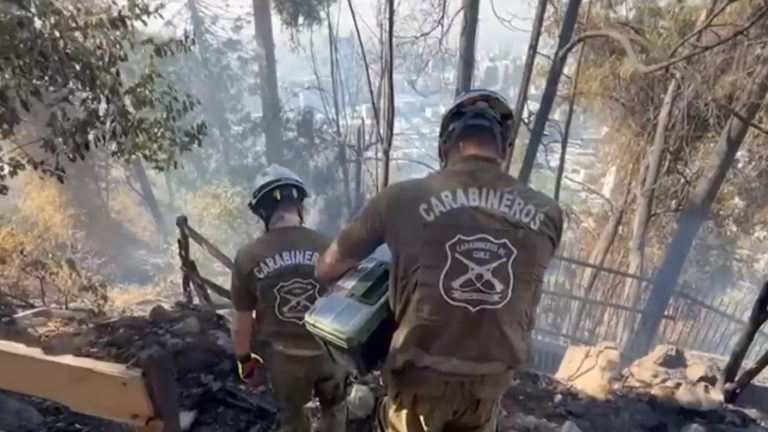¿Accidental o intencionado? Inician peritajes en Cerro San Cristóbal para determinar origen del incendio
