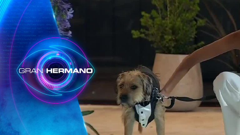 “Te dejo en las mejores manos”: Gran Hermano le dio una emotiva despedida a Bigote