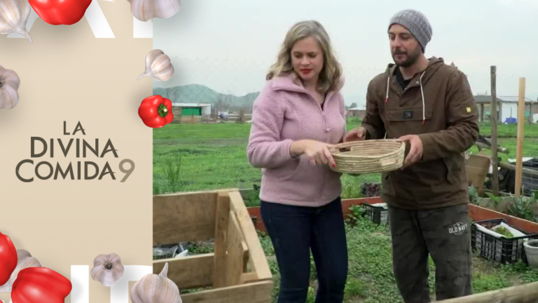 Tienen un refugio animal: Así es la gran casa de Eliana Albasetti y Federico Koch