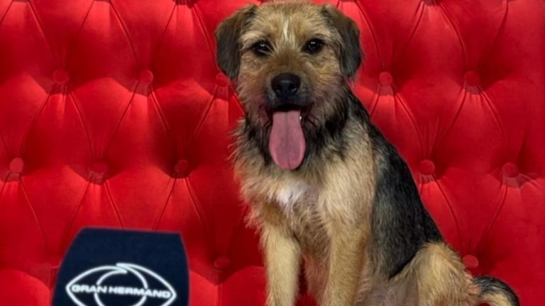 ¡Entró muy tímido! El antes y después de Bigote en Gran Hermano