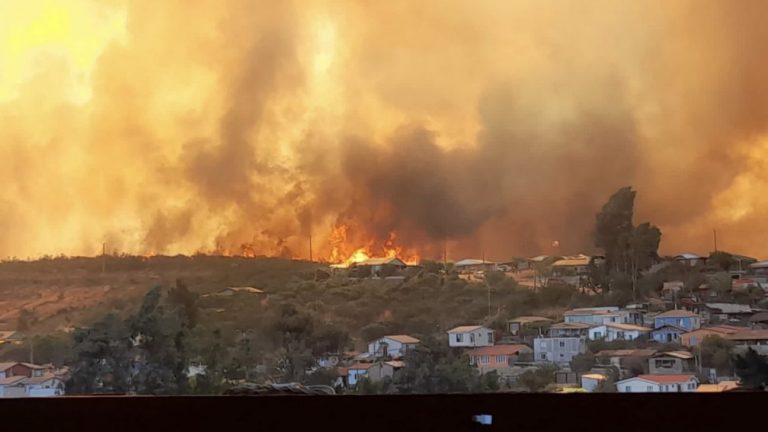 Carabineros detiene a sospechoso de iniciar incendio forestal en Villa Alemana