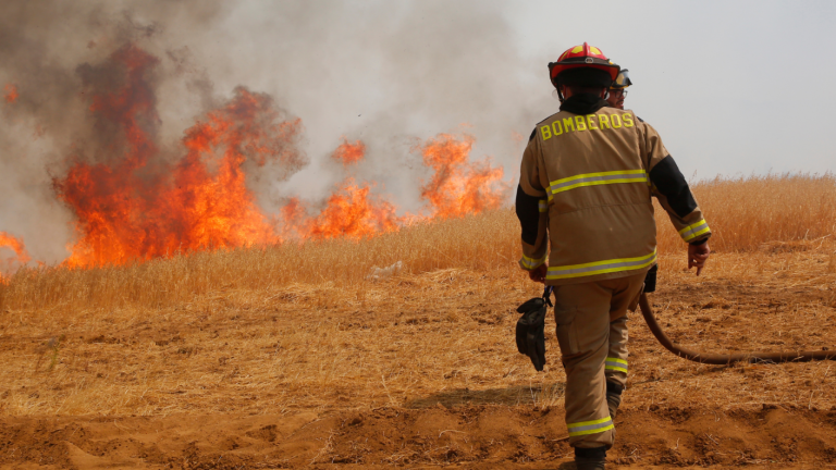 Detienen a 4 personas por responsabilidad en incendios forestales en la región de O'Higgins