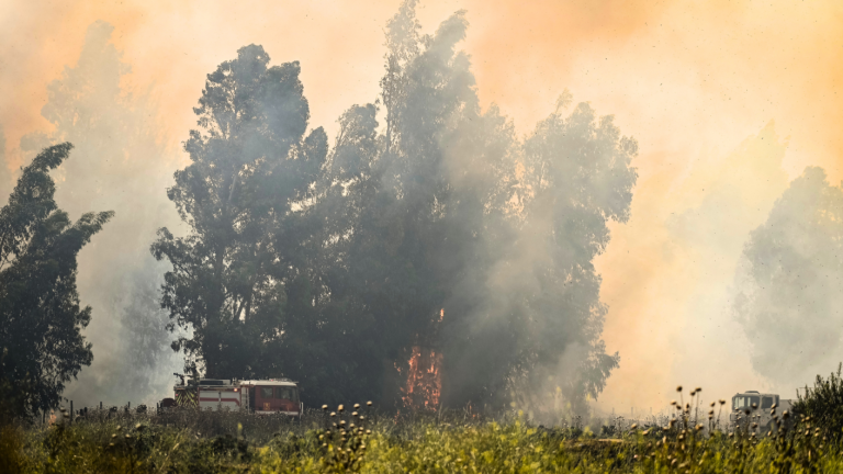 Confirman a 7 personas lesionadas tras incendios forestales en región de Valparaíso