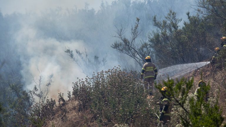 Incendios forestales han consumido más de 3 mil hectáreas en zona centro del país