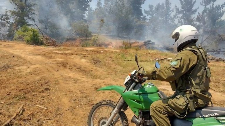 Hasta un ritual espiritual: Las insólitas razones que inculpan a detenidos por incendios forestales
