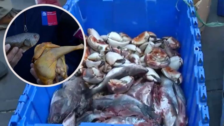 Alertan venta de pescado y pollo crudo en evidente estado de descomposición en plena vía pública